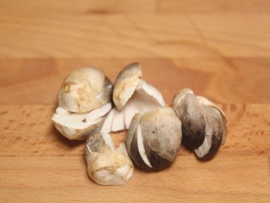 �Ŷ�?�Ӿ��㹽�ҵ�����