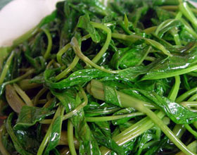 ����޳�˵�����