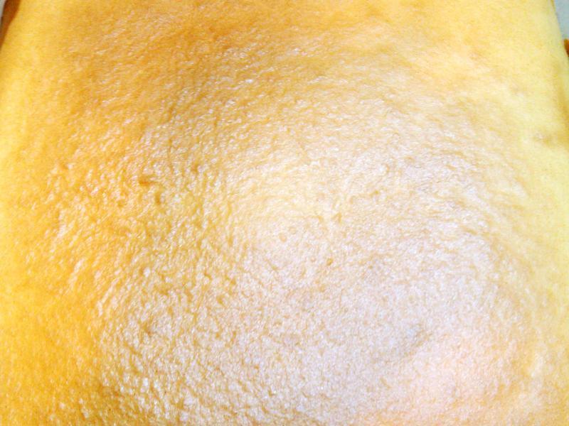 �����͵����������