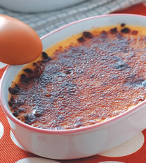 ��ʽ�����ٵ�����