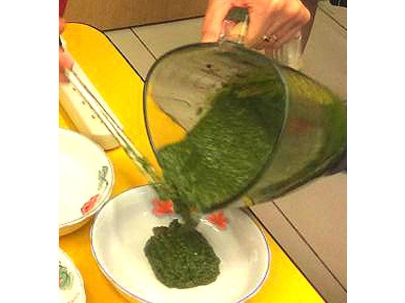 ��ʽ�ᶹ�����ུ Pesto������