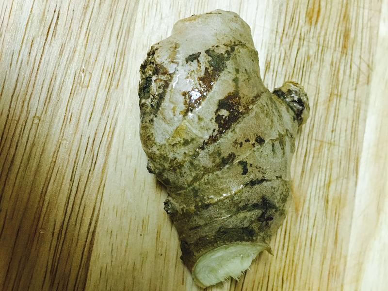 ���ʷ��۽�֭����������