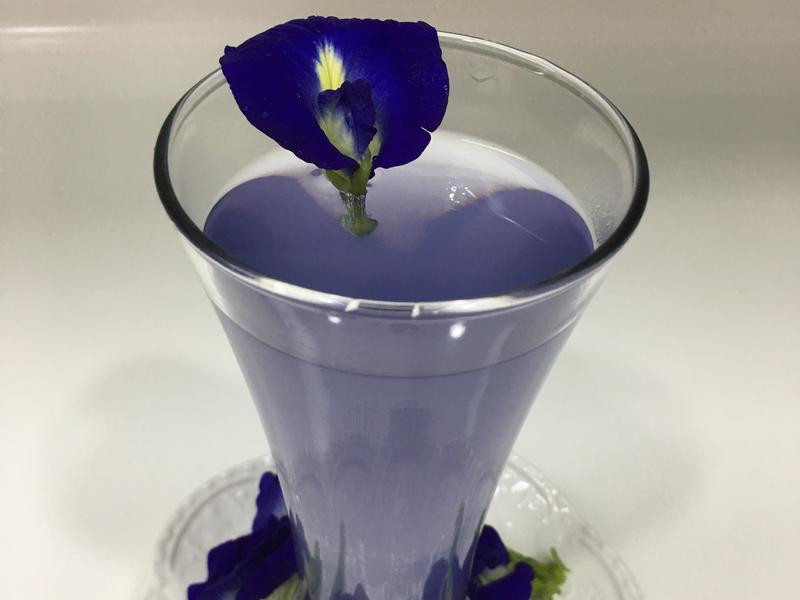 �������Ÿ�����������������