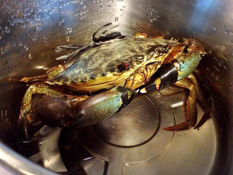 ҩ���з������