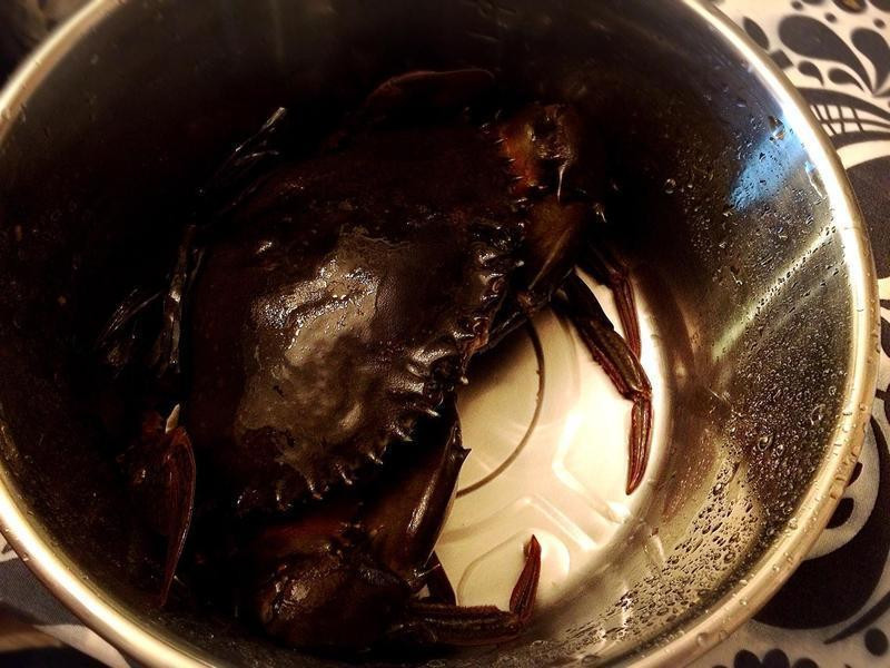 ҩ���з������