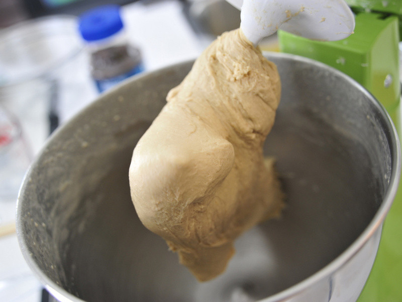 ����ཷ����������