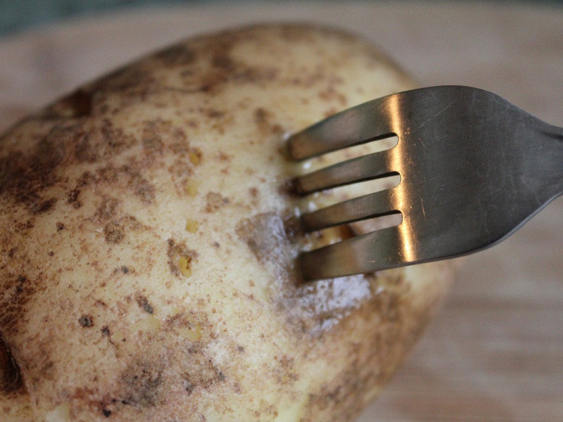 ���㳦���˿�������������