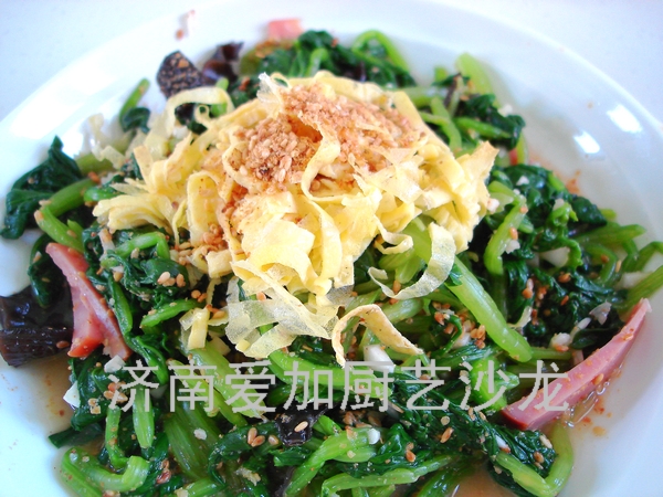 ֥�����ײ��˵�����