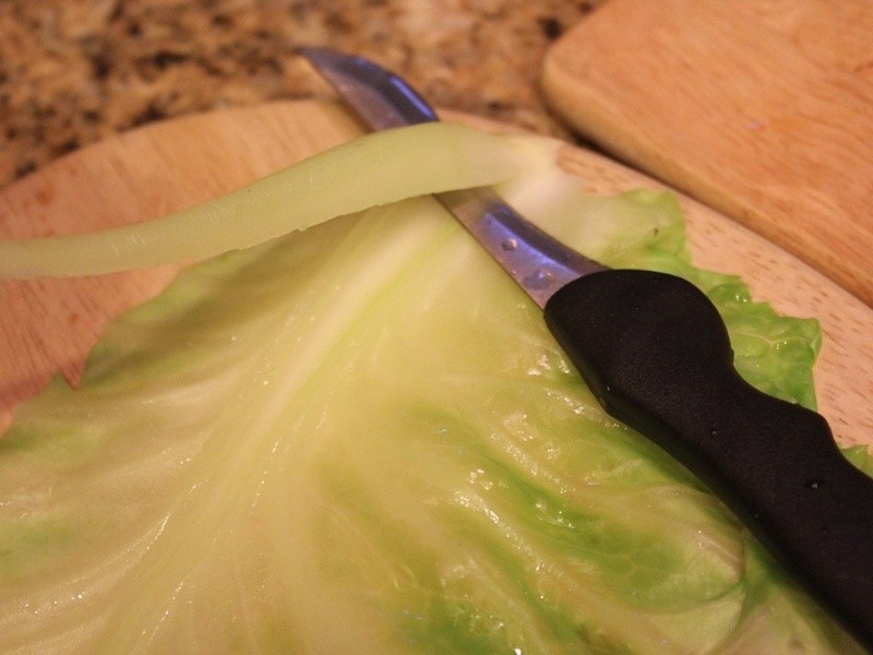 ���ȵ������ߵ�����