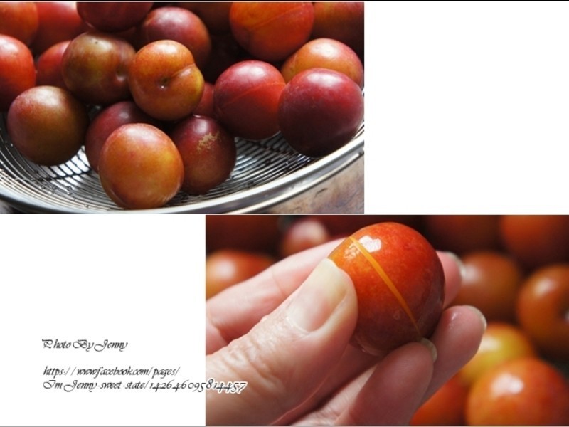 ���Z���ӵ�����