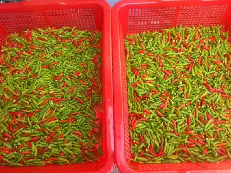 �Z��С����������