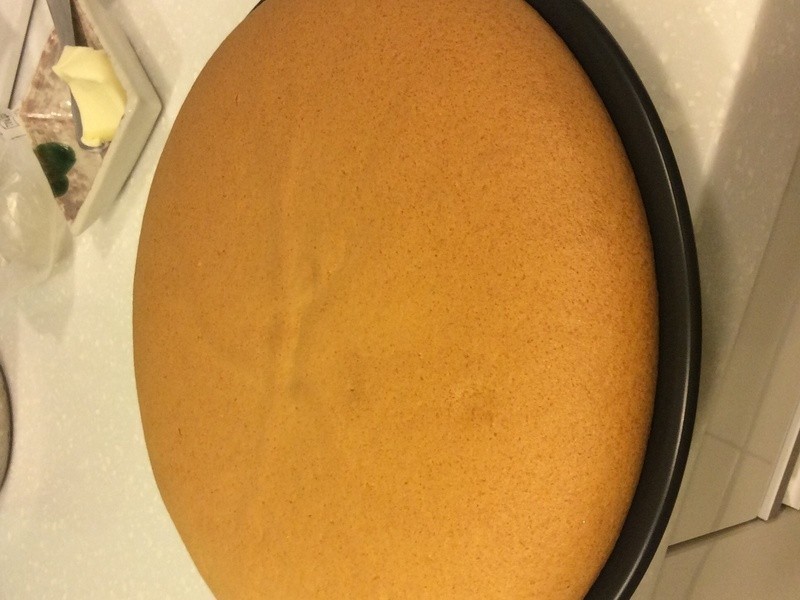 ��ʿ���ɵ�����