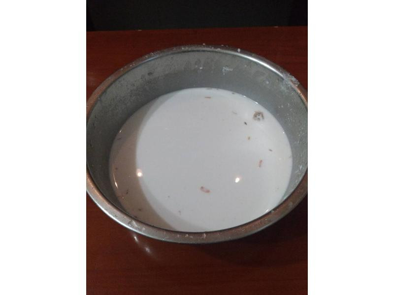 ̨ʽpizza������