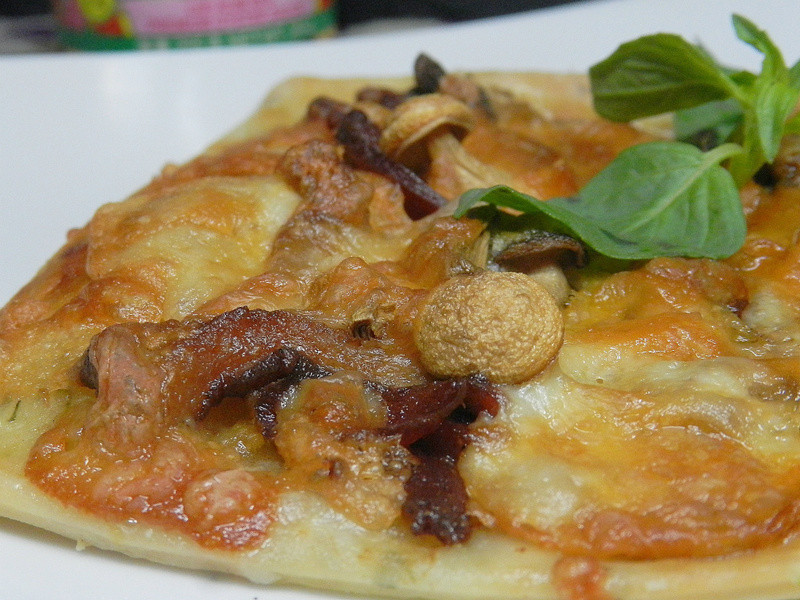 ������Ǿ�ׯ�ؼ����125���꡹~���Ѽ������������