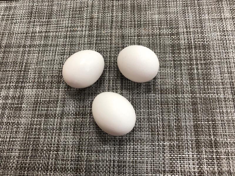 ��ζ����͵�������