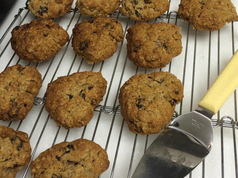 �������Ѹɺ˹����ɵ�����