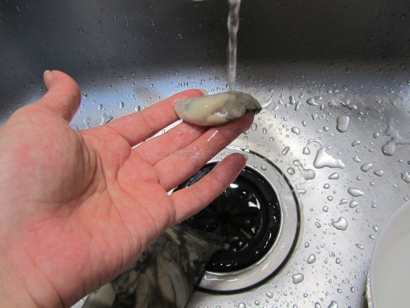 ���·�����-�������µ�����