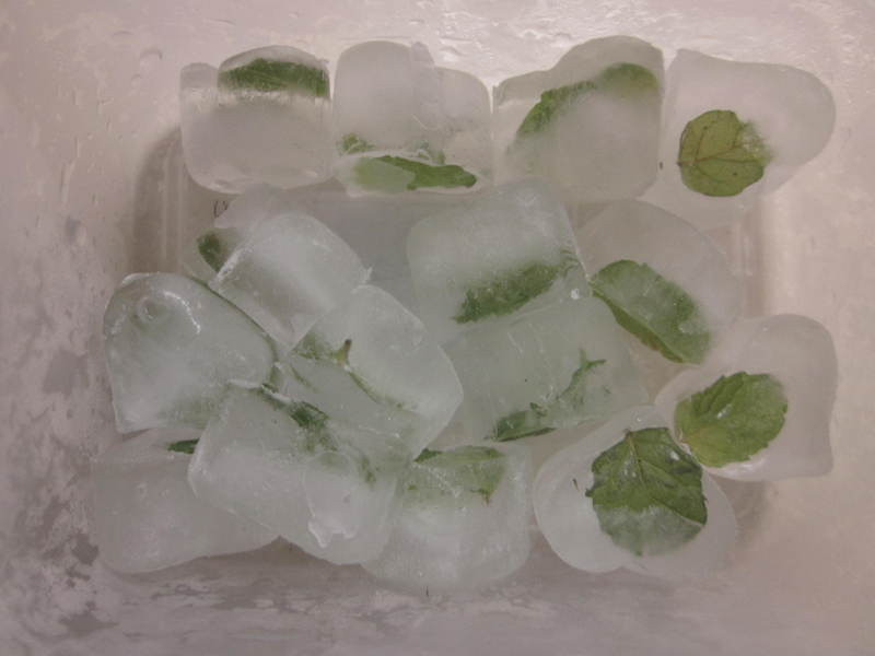 ����ƻ�����������