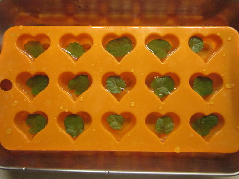 ����ƻ�����������