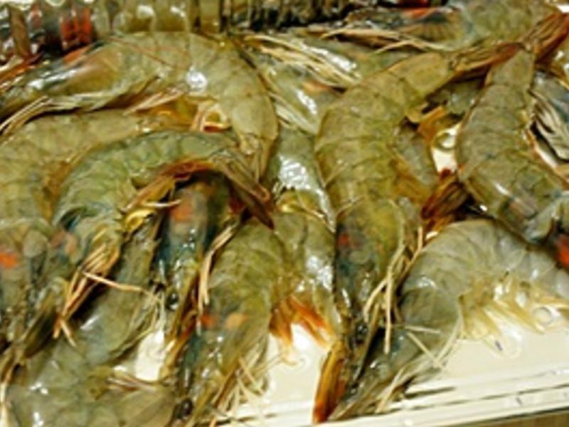 ��������-��ʽ���Ͽ�Ϻ������