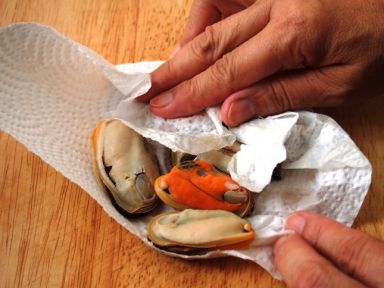 ̩ʽ������ڵ�����