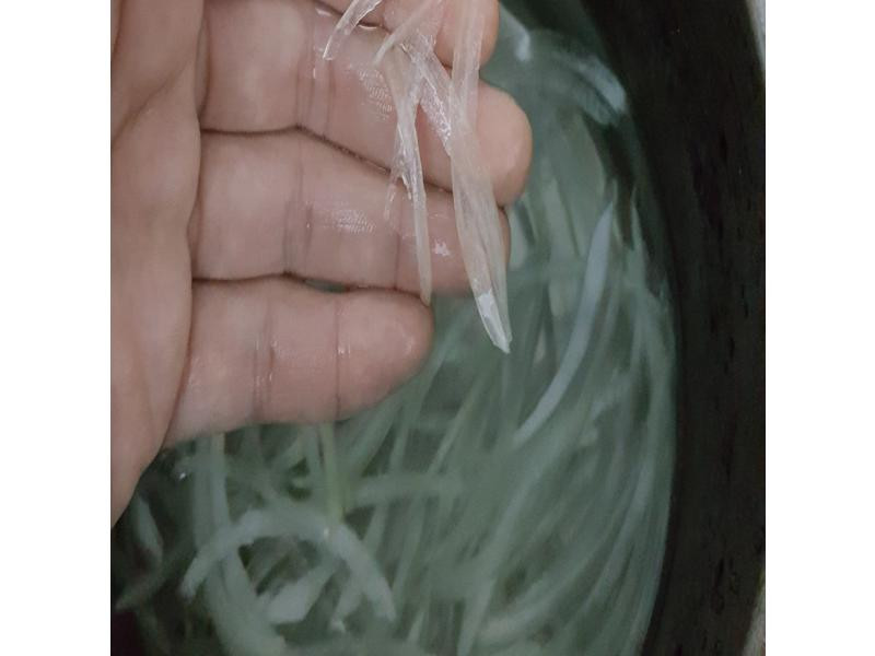 ��д�����ε�����