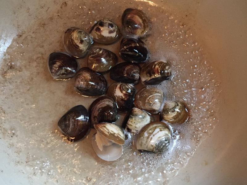 ���׸�������������