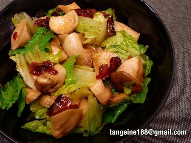 �����ӱ���ɳ�� ���Ʒ�ɳ��14��������