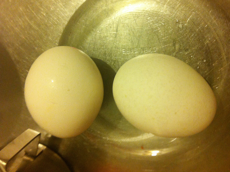 Ũ���ж�������������