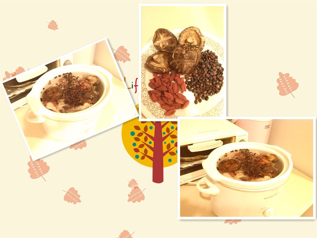 �㹽������������ϼ���������