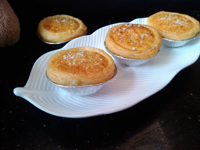 ������Ҭ�ص�̢��--����������͵�����