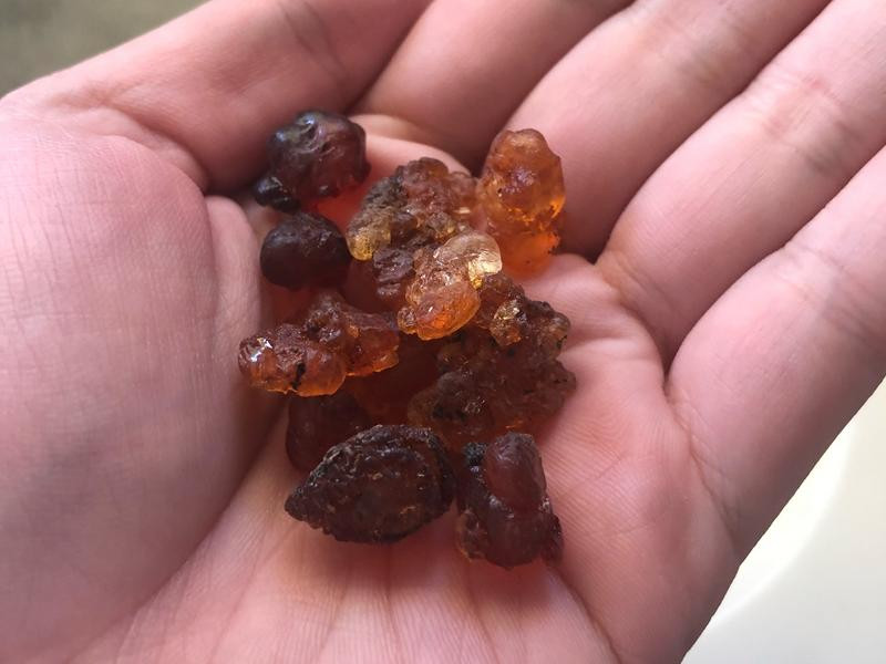 �ҽ���ţ�̵�����