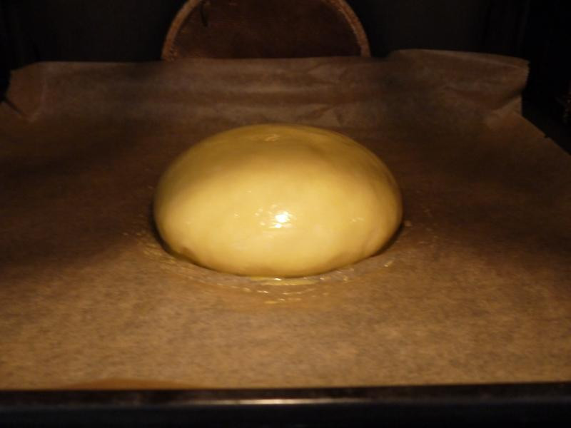 �޵�ţ�����������