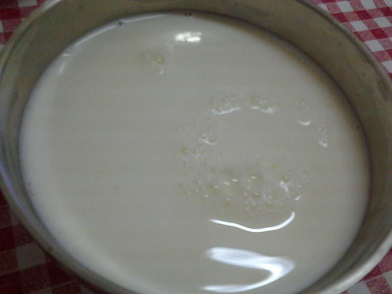 ţ�̹�������