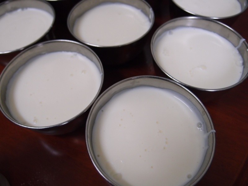 ����ţ�̶�������