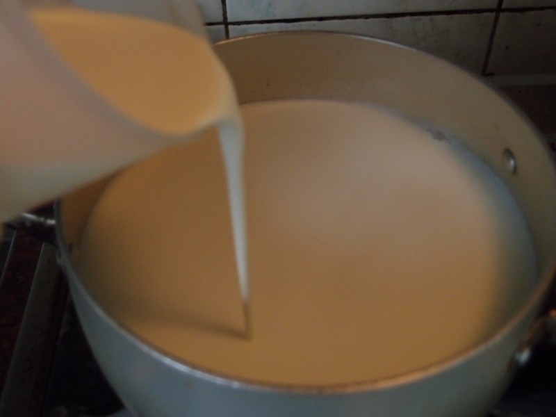 ����ţ�̶�������