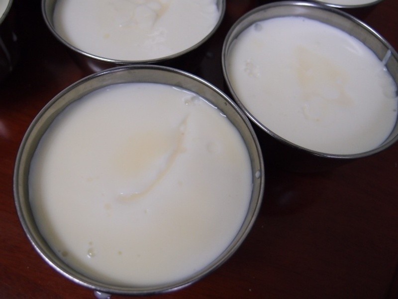 ����ţ�̶�������