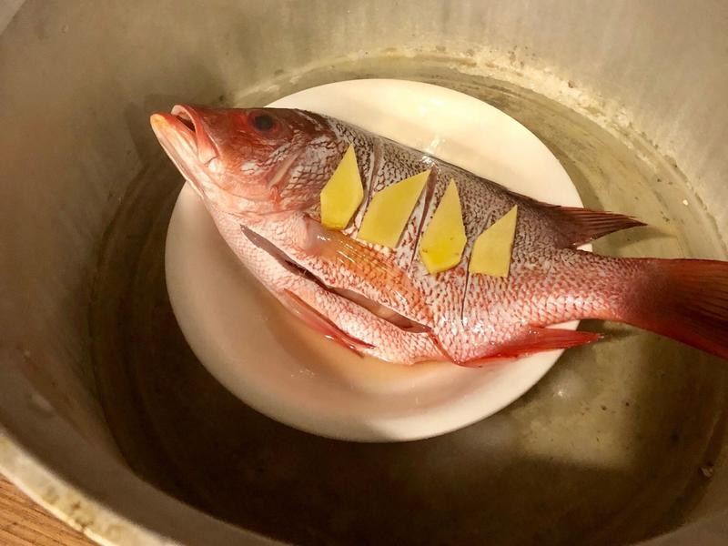 ����ζ�����������������