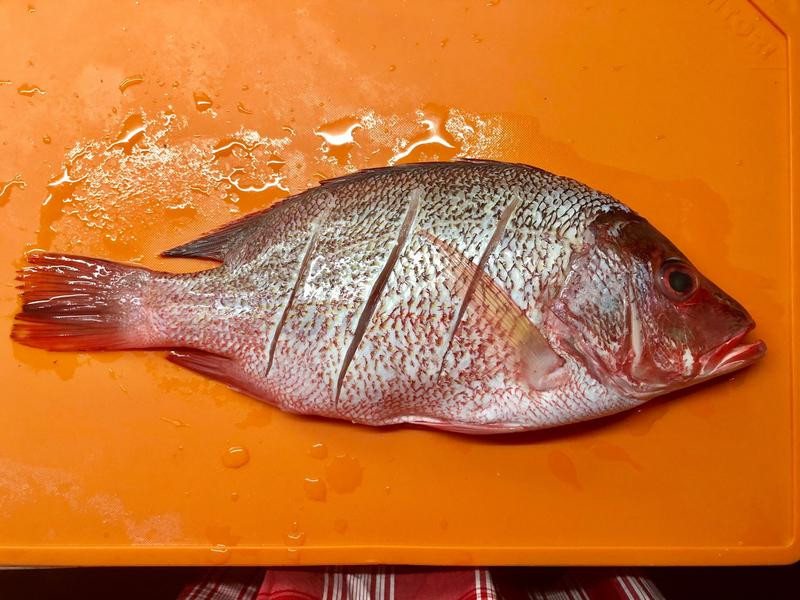 ����ζ�����������������