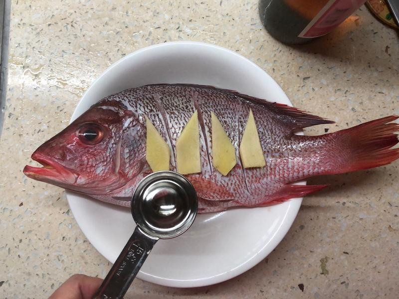 ����ζ�����������������