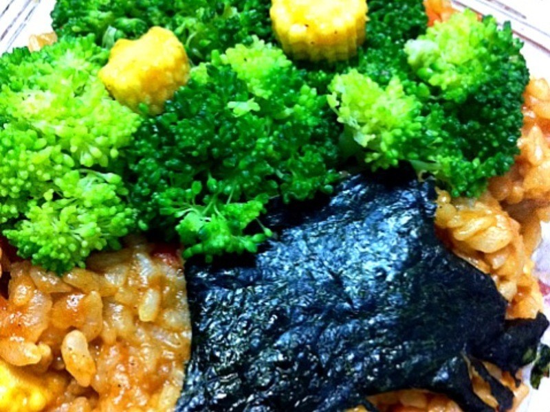 ����è~~�Ҹ��㵱(�����һ����)������