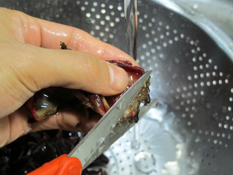 Cin*�������񻨵�����