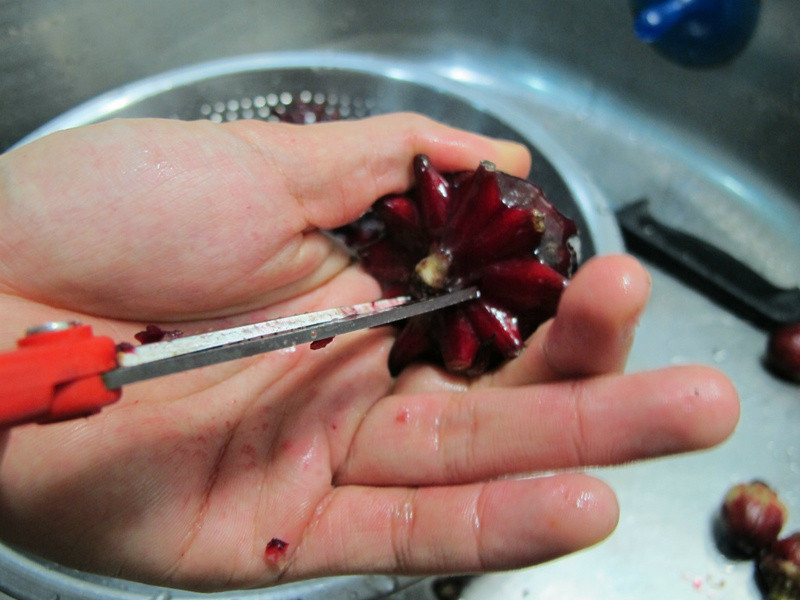 Cin*�������񻨵�����