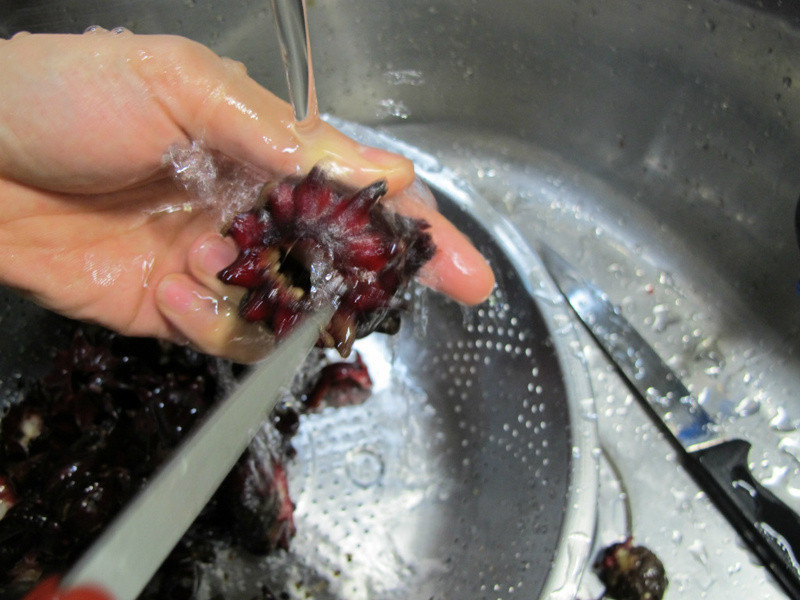 Cin*�������񻨵�����