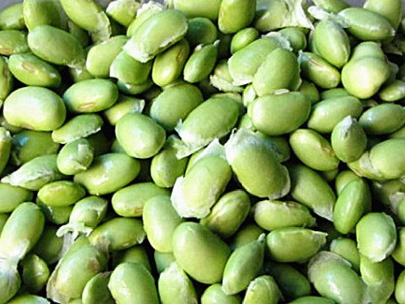 ����ë��������