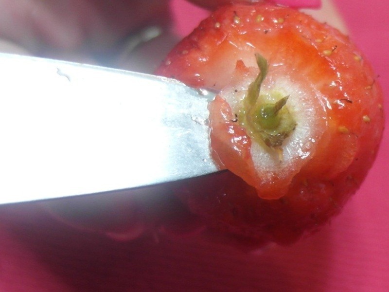 ����ݮ��ƹ�����Cynthia�������������