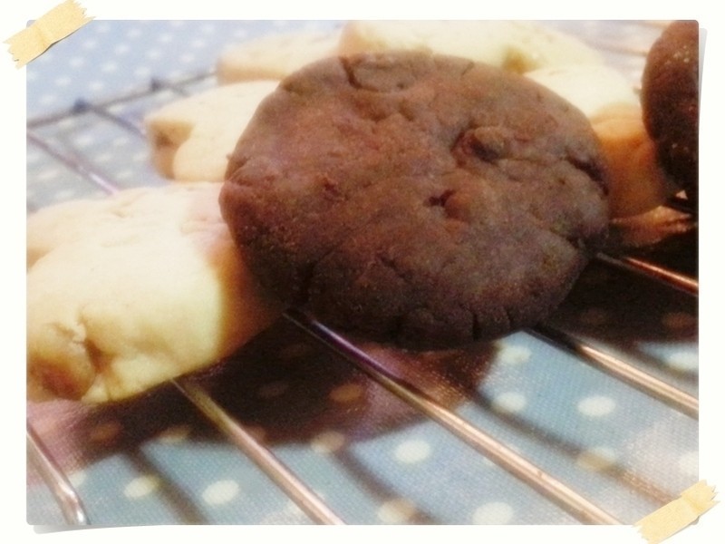 �ɿ��ɿ��������ͱ��ɵ�����