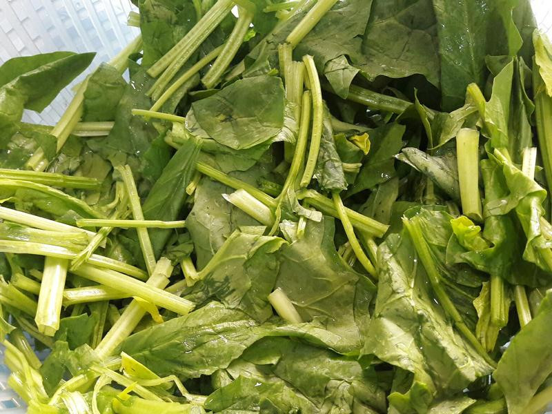 ��ʽ���⽴ţ�⳴���˵�����