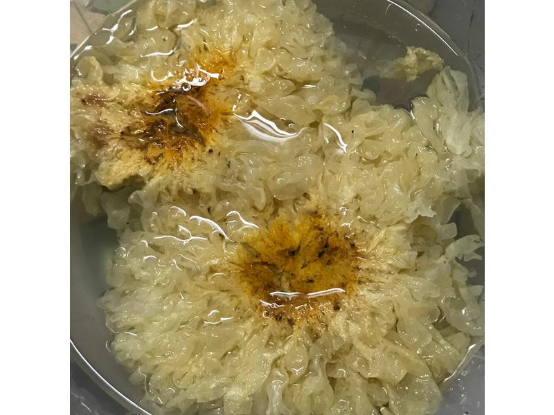 ����ľ��������������