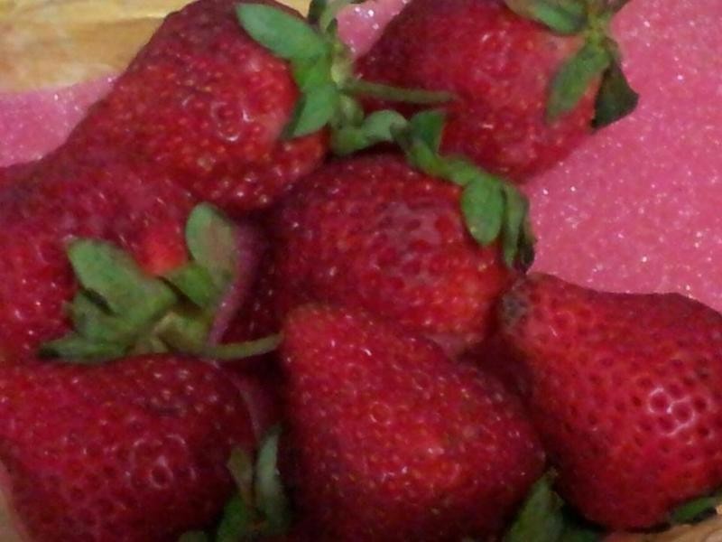 ��ݮ������˾������